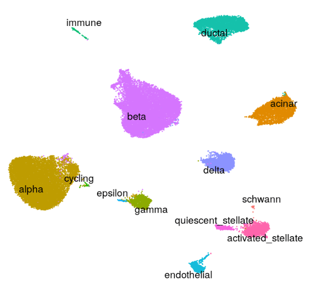 Azimuth pancreas reference UMAP