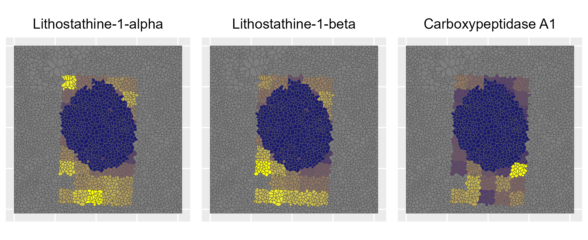 Acinar protein markers: REG1A, REG1B, CPA1
