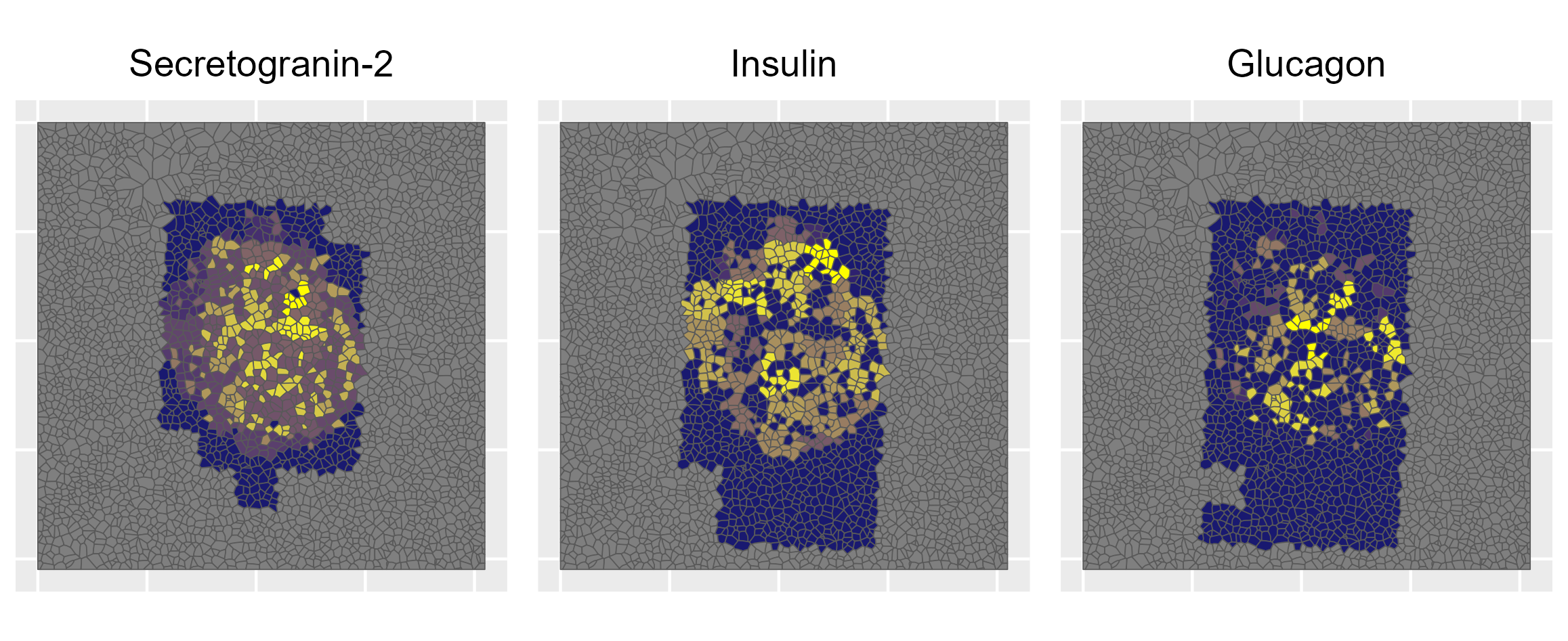 Islet protein markers: Secretogranin-2, Insulin, Glucagon