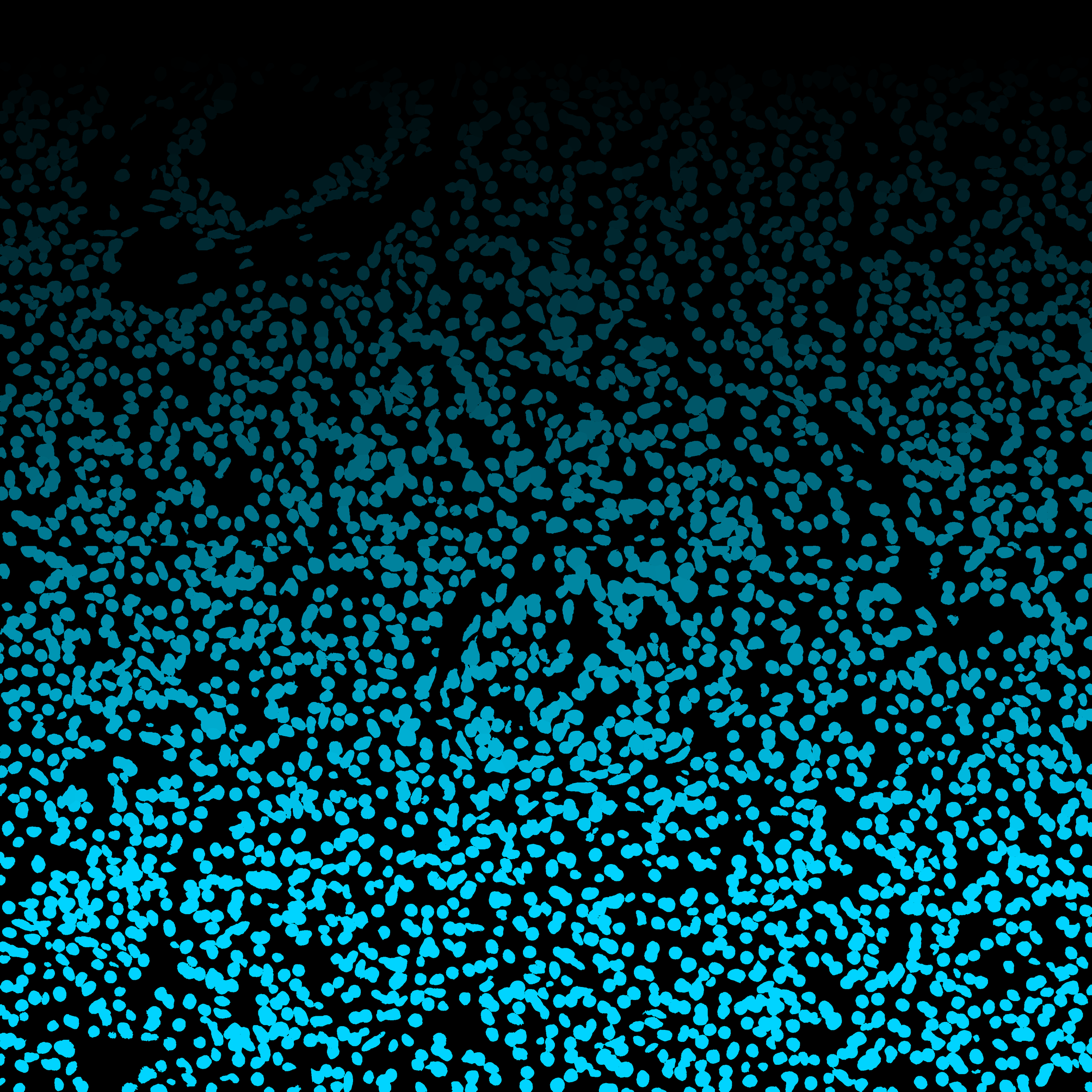 CellPose 2.0 nuclear segmentation mask