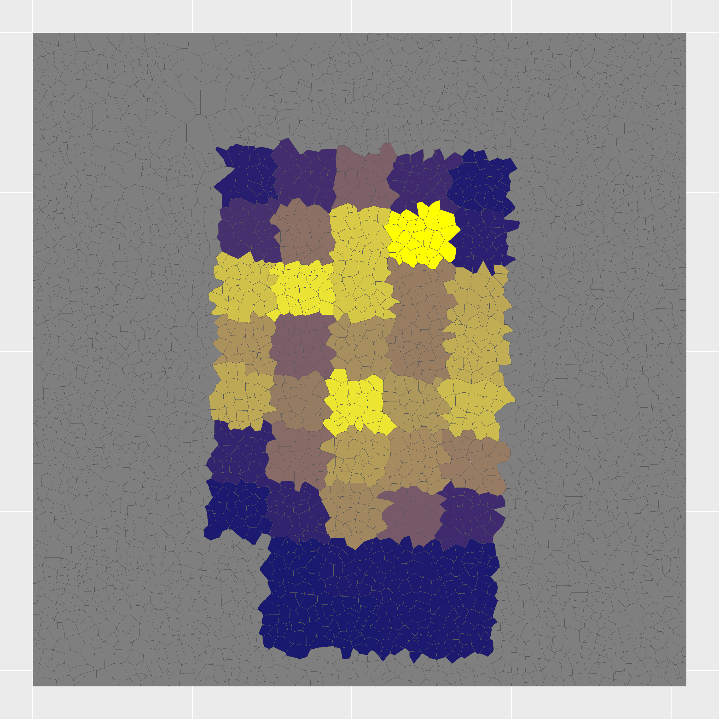 Insulin protein expression map